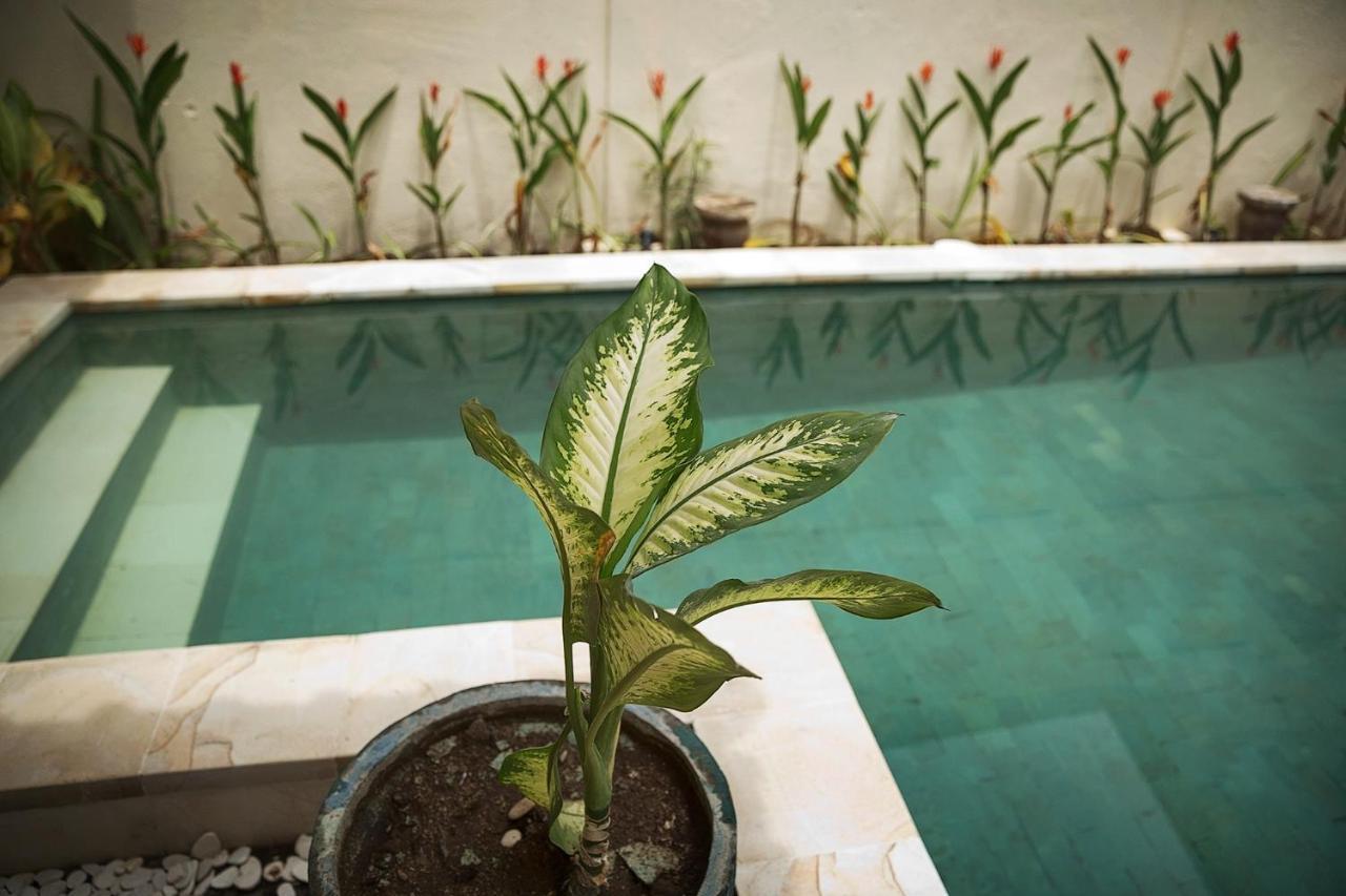 Papaya Villa Sanur Exteriér fotografie